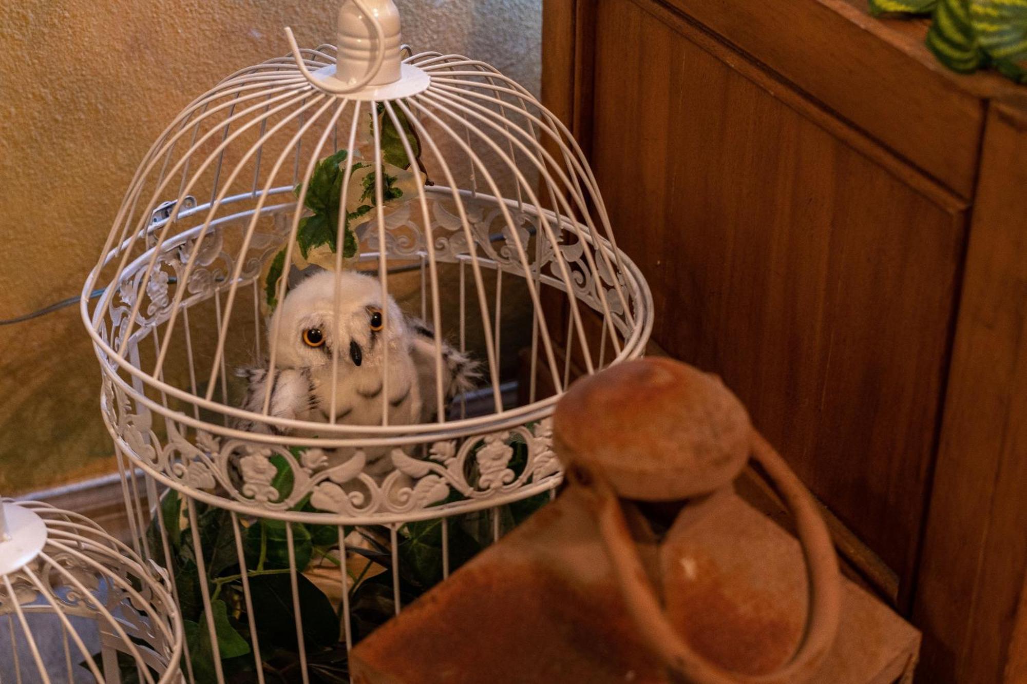 Stay At Hogwarts Harry Potter'S Home, Free Parking, Pets Allowed Киссимми Экстерьер фото